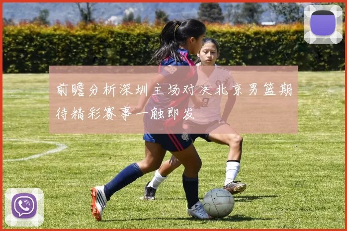 前瞻分析深圳主场对决北京男篮期待精彩赛事一触即发