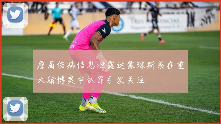 詹眉伤病信息泄露达蒙琼斯或在重大赌博案中认罪引发关注